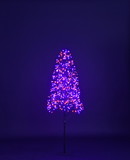 LEDgen LED-TR3D05-LPO 5' Purple and Orange LED Tree