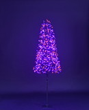 LEDgen LED-TR3D06-LPO 6' Purple and Orange LED Tree with Black Frame