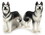 LEDgen LL-HUSKEY-2PC Set of Two Husky Dogs, Price/Pack of 2