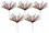 LEDgen PCKH-18-TSPRY-WHRE-5PK 5 Pack 18" White Spray with Red Twist