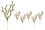 LEDgen PCKH-31-GOCH-5PK 5 Pack 31" Champagne and Gold Pick with Champagne Ball Accents