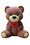 LEDgen TOY-TDYBR-08 8.6' Toy Teddy Bear, Price/each