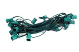 Winterland WL-C7G-12-100 - Cordset, C7, Socketed cord set, E12 sockets, Green wire, 100 Ft 12