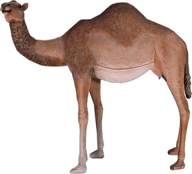 LEDgen WL-LLCML-FM Life Size 75" Female Camel
