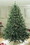 LEDgen WL-TRSQ-04-L5M 4' Sequoia Evergreen Pine Christmas Tree with Multicolor LED Lights