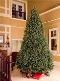 Winterland WL-TRSQ-06 - 6' Classic Sequoia Tree with Metal Stand