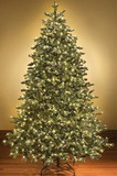 Winterland WL-TRSQ-09-LWW 9' Classic Sequoia Pre Lit Tree With 2000 Warm White Lights And Metal Stand