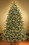 LEDgen WL-TRSQ-12-DLWW 12' Classic Sequoia Double Lit LED Warm White Tree with Metal Stand