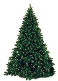 Winterland WL-TRSQ-12-LWW 12' Classic Sequoia Pre Lit LED Warm White Tree With Metal Stand