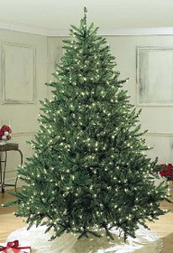 Winterland WL-TRSQ-7-5-LPW 7.5' Sequoia Fir Tree Pre-Lit with Pure White LEDs