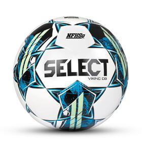 Select 0295000405 Viking DB Soccer Ball
