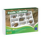 Educational Insights 5204 Fossils Collection