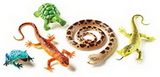 Learning Resources LER0838 Jumbo Reptiles & Amphibians