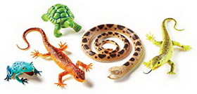 Learning Resources LER0838 Jumbo Reptiles & Amphibians