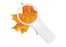 Learning Resources LER2046 Dual Lens Magnifiers
