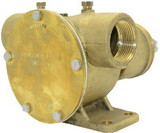 Johnson Pump Heavy Duty Impeller Pump