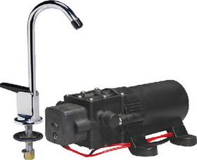 Johnson Pump 61123 WPS Water Pump & Faucet Combo