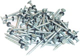 Taylor 96028 Galvanized #6 Nails w/Washers 1/8# 12/Cd