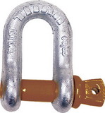 Titan Marine Products Hot Galvanized D Shackle