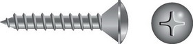 Phillips Tapping Screws - Oval Head