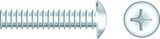 Seachoice 01817 Chrome Plated SS Phillips Machine Screws - Truss Head, 1/4-20 x 1