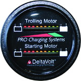 Dual Pro Lithium Battery Gauge