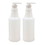 LorAnn Oils 8030-0000 1 quart bottle with pump dispenser (2 pack)
