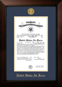 Campus Images AFCLG001 Patriot Frames Air Force 10x14 Certificate Legacy Frame with Gold Medallion