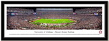 Campus Images AL9931941FPP University of Alabama - Tuscaloosa Framed Stadium Print