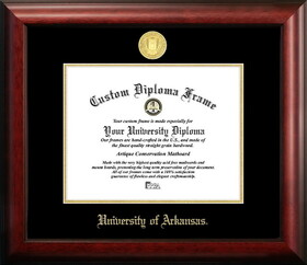 Campus Images AR999GED University of Arkansas Gold Embossed Diploma Frame