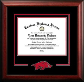 Campus Images AR999SD University of Arkansas Spirit Diploma Frame