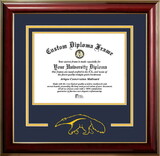 Campus Images CA933CMGTSD-1185 University of California, Irvine 11w x 8.5h Classic Spirit Logo Diploma Frame