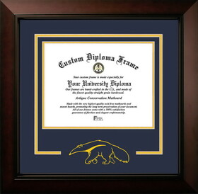 Campus Images CA933LBCSD-1185 University of California, Irvine 11w x 8.5h Legacy Black Cherry Spirit Logo Diploma Frame