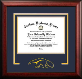 Campus Images CA933SD University of California - Irvine Spirit Diploma Frame