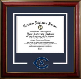 Campus Images CA942CMGTSD-1185 University of California, Davis 11w x 8.5h Classic Spirit Logo Diploma Frame
