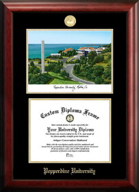 Campus Images CA944LGED Pepperdine University Gold embossed diploma frame with Campus Images lithograph