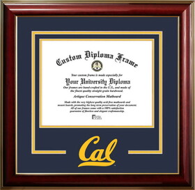 Campus Images CA945CMGTSD-1185 University of California, Berkeley 11w x 8.5h Classic Spirit Logo Diploma Frame