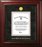 Campus Images CO994EXM-8511 United States Air Force Academy 8.5w x 11h Executive Diploma Frame
