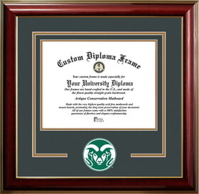 Campus Images CO999CMGTSD-1185 Colorado State 11w x 8.5h Classic Spirit Logo Diploma Frame