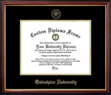 Campus Images CT994PMGED-1185 Quinnipiac University Petite Diploma Frame