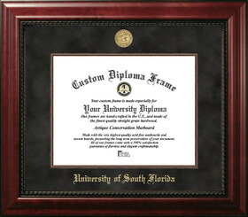 Campus Images FL989EXM UniversitySouth Florida  Executive Diploma Frame