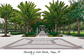Campus Images FL989MBSGED1185 University of South Florida 11w x 8.5h Manhattan Black Single Mat Gold Embossed Diploma Frame with Bonus Campus Images Lithograph