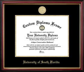 Campus Images FL989PMGED-1185 South Florida University Bulls Petite Diploma Frame