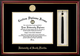 Campus Images FL989PMHGT University of South Florida Tassel Box and Diploma Frame