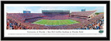 Campus Images FL9941912FPP University of Florida Framed Stadium Print
