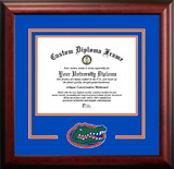 Campus Images FL994SD University of Florida Spirit Diploma Frame