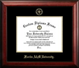 Campus Images FL997GED Florida A&M University Gold Embossed Diploma Frame