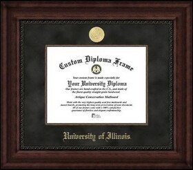 Campus Images IL976EXM University of Illinois Executive Diploma Frame
