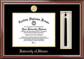 Campus Images IL976PMHGT University of Illinois - Urbana-Champaign Tassel Box and Diploma Frame