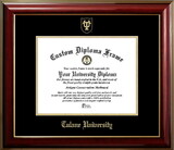 Campus Images LA995CMGTGED-1185 Tulane University 11w x 8.5h Classic Mahogany Gold ,Foil Seal Diploma Frame